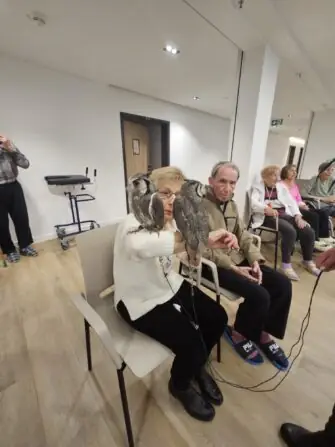 5e648864-0e84-42a3-bafe-c644a9603155