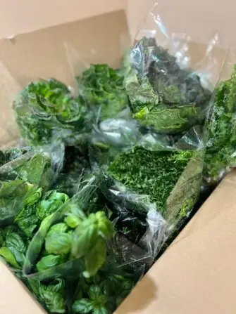 Obrázek WhatsApp, 2024-12-18 v 11.07.30_59b4c2e5