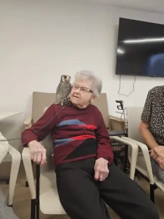 cfa046bd-395d-40f0-bc7d-c6b4a4b57e20