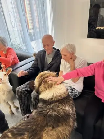 thumbnail_image0 (1)