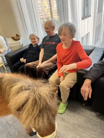 thumbnail_image4 (2)