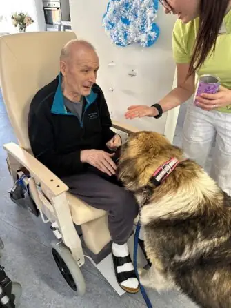 thumbnail_image6 (1)