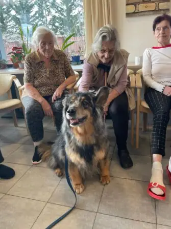 481466974_623213550421637_7278472078989988956_n