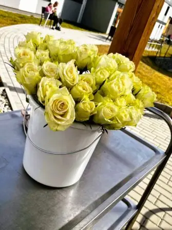 482809745_587625970945780_8365418071480484936_n