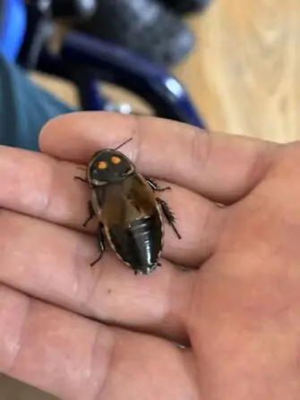 484437411_2030889974057754_5849228668697302080_n