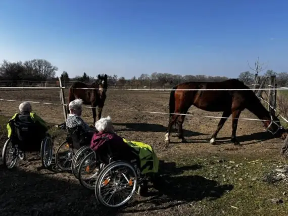 484931396_3619006281730768_1802070000680593767_n