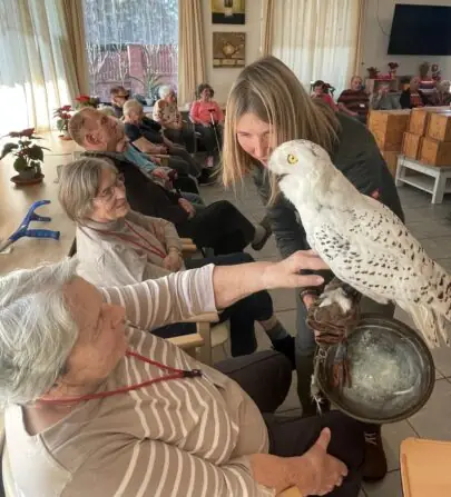 486010572_637190402357285_1560196436060257111_n