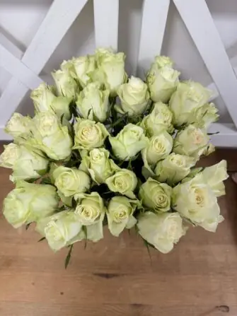 IMG-20250309-WA0001 (2)