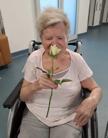 a2ba483d-a390-4c33-b177-261bd8640f0b