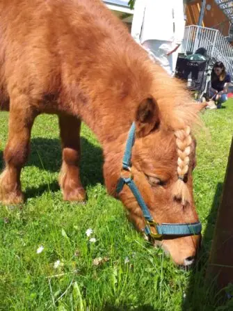 0e3bdabf-a25c-460b-a6e5-37749205e4ea