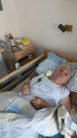 151352a6-2758-4750-819c-160212f0351d