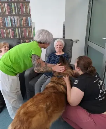 1c787ad1-7b7b-4aba-a7ff-9ee296b17466