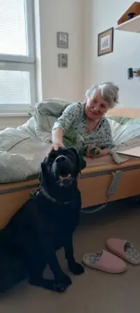 36d89178-7b73-4aa9-a8c9-1d93ad380c61