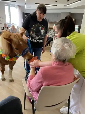 381a2962-0c8b-4dbb-96b4-424a12fb22de