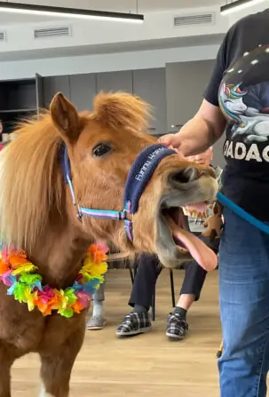 3de6d33c-fd1c-45dd-b31d-6d3bf3a7f861