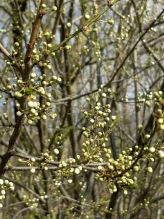 481683487_3096192600539841_1531538158930692647_n