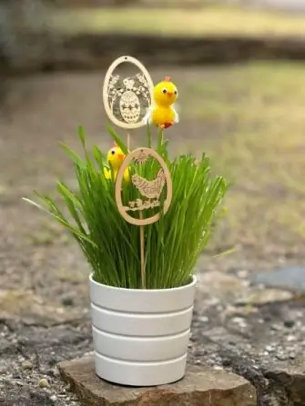 483568017_1709125266672958_2847282282006403468_n