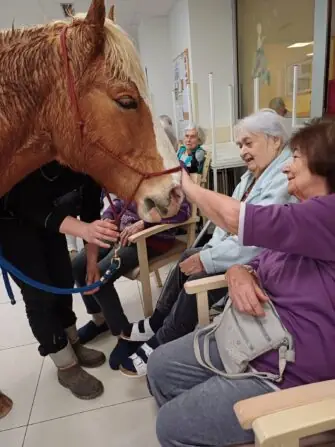 484558940_1071168781716822_4122866007048752033_n