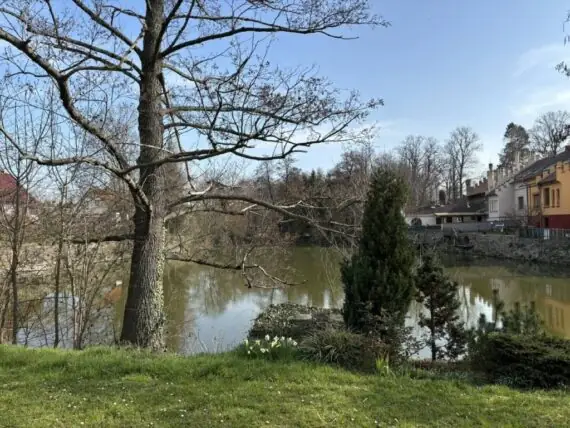 484594848_631167039819535_3105135043470618120_n