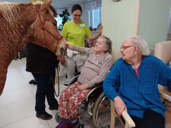 484669508_1071169135050120_3171458103072060283_n