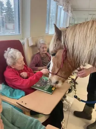 484703289_1071172175049816_3183695219089382367_n