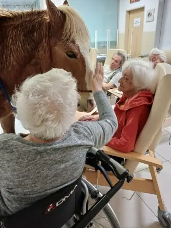 484791689_1071168328383534_4125775396749130091_n