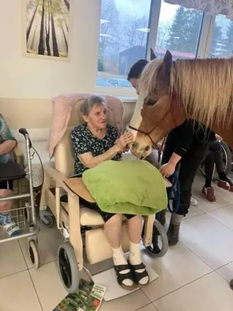 484929000_1071172611716439_5532658330756962280_n