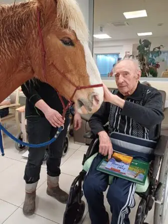 484945888_1071169298383437_8438553138171160274_n