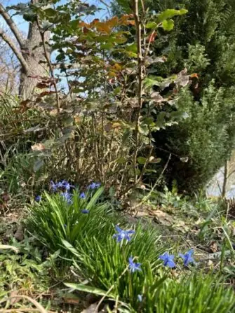 486278475_637210289231258_2398908651352851232_n