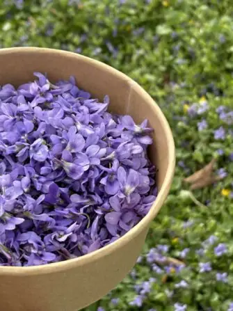 488589193_2560374334171369_7115625605447555718_n