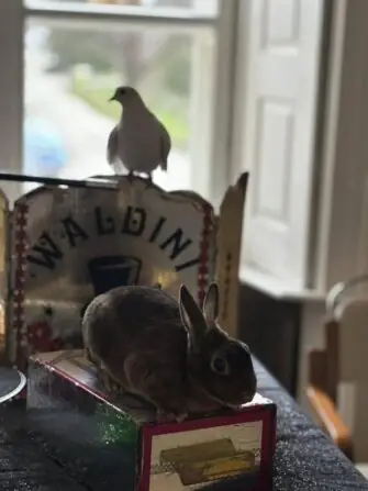 488837282_1159733186164528_7959960015351813345_n