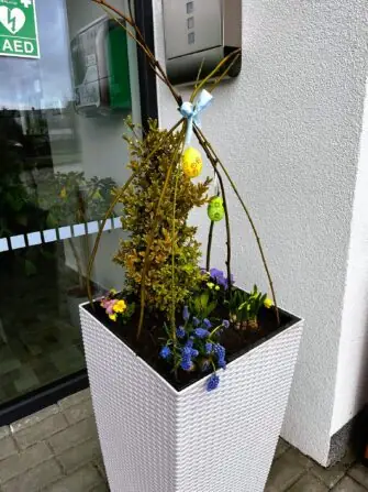 488994787_607044442337266_4215054560098103450_n