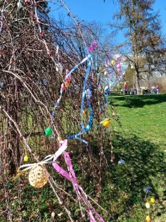 489304338_1088473559986344_899460121844850016_n