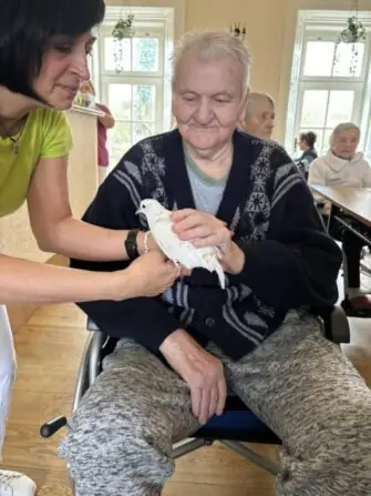 489562440_2063074484218317_2707987733485257762_n