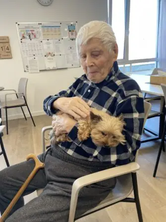 5051795b-e827-45e5-a628-e3d88fc07173