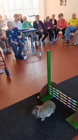 59d39935-0c26-4de6-aa20-36b7ae72734a