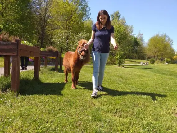 62740c0b-5980-417a-aabb-d69b693e5427