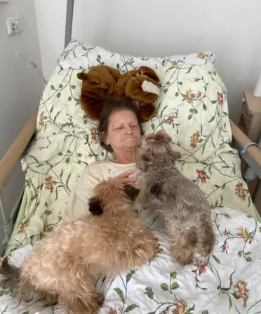 6550993a-344f-4c6f-afae-ba08b6d35fdc