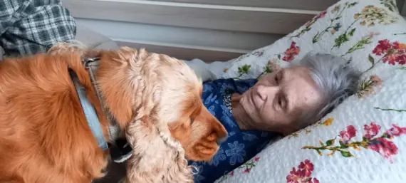 69660ca3-a445-4e1e-96e0-45e0ee425994