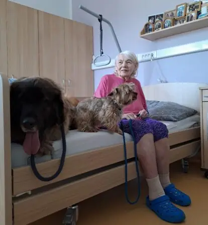 7133ca6b-461b-41ac-a817-fec912e08445