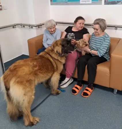 89324c45-e15e-4ba0-8d03-6da82b62f214