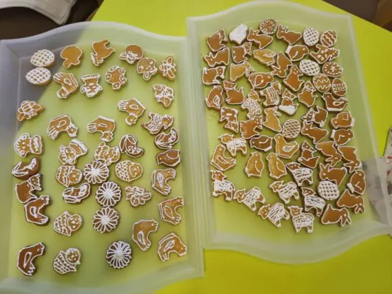 8_IMG_20250416_144257