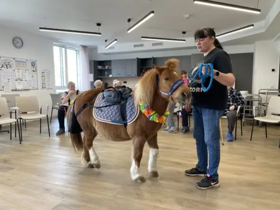 948a5f2e-8898-4036-bdc9-b3ceb3697588