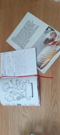 Obrázek WhatsApp, 2025-04-17 v 10.44.19_dfaab13f