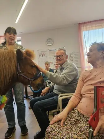 a4498d58-b3c5-4d47-a555-3ba3c06f8bbf