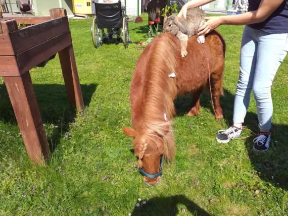 a99d94e9-a1de-4172-a3f1-5269ea7d2928