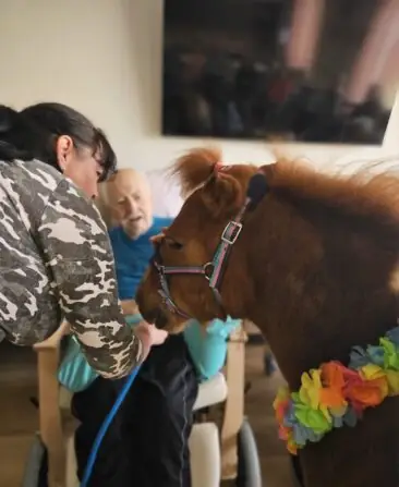 abe8a154-d2d4-47e7-8e60-504218c3f8fb