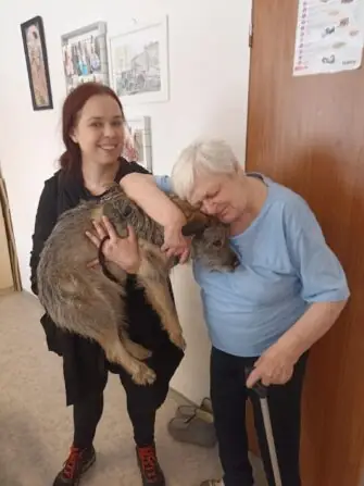 att.yGClNhgpKzUb1-DA7ljJnVqFgcVVyytD76Fq6EB_5R8