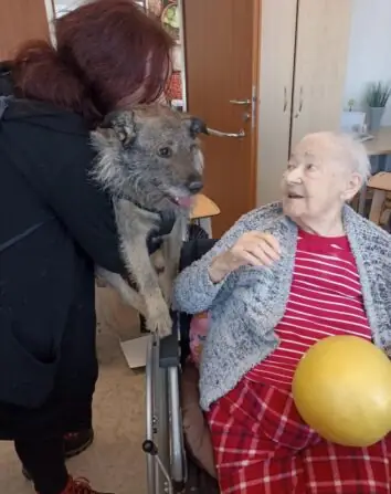 att.zyGMxvILldRGe7L9wgIQSlIIZg7NR3ssyji8dw7Te9M