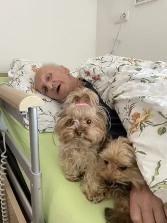 cac24ad3-b2e7-4cdb-8f64-06dffd8358ba